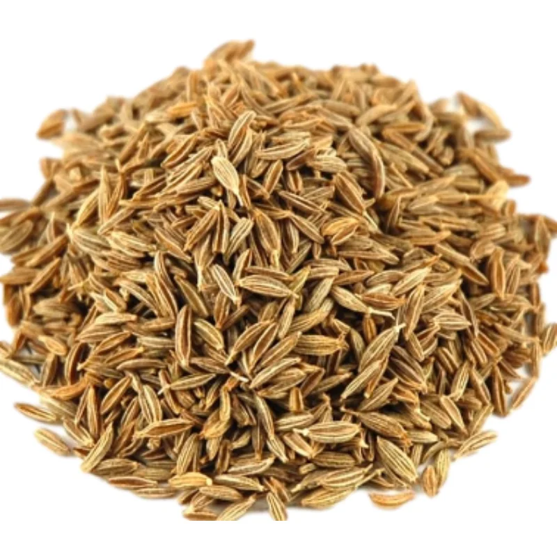 
Top Quality Wholesale Natural Chinese raw fennel seeds Fennel 
