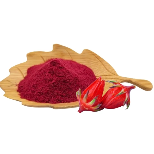 20:1 Hibiscus Sabdariffa Flower Extract Powder Hibiscus Sabdariffa Price Hibiscus Powder