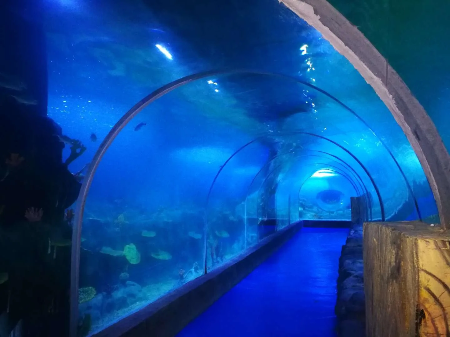 & diving acrylic fibreglass transparent 6m rectangular above ground swimming pool 16