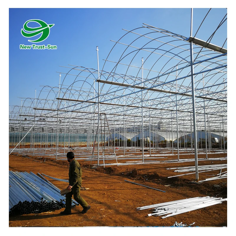 
Low Cost Multispan PO Film Agricultural Greenhouse for Sale with NFT Hydroponic Systems 