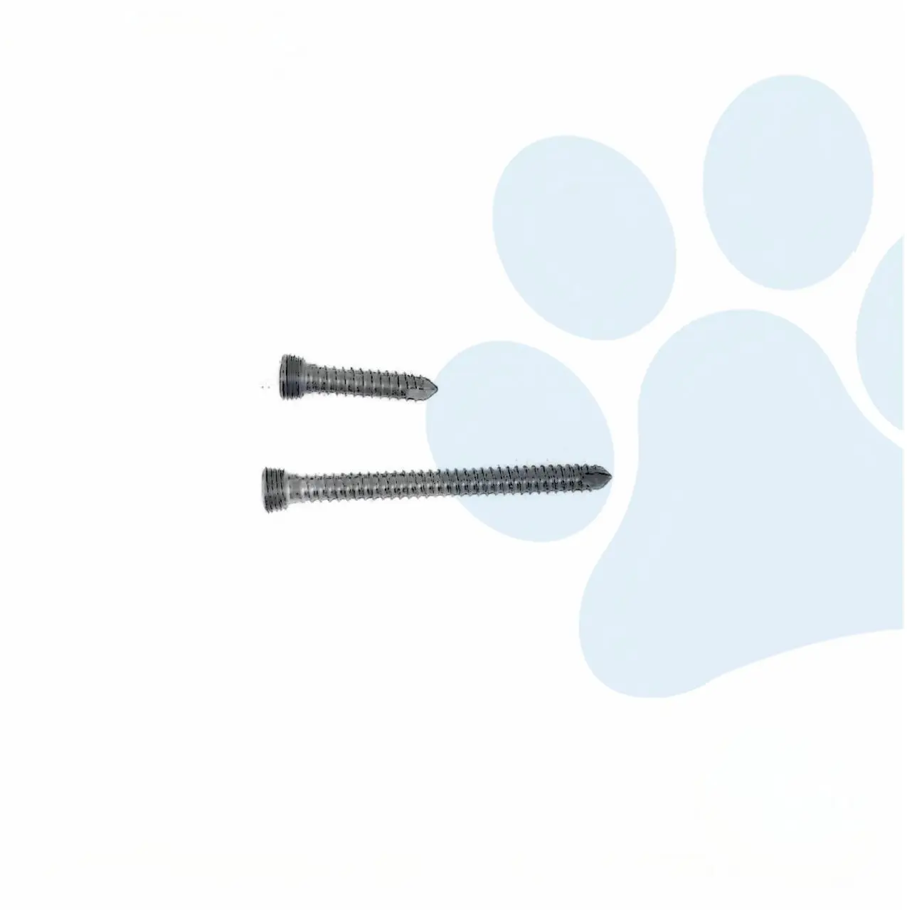 2024 Hot-selling Veterinary Implant  Titanium 1.6/2.4/3.2/4.0mm Locking Screws Other pet Products