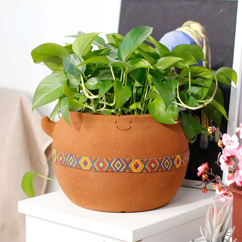 jingqi 2023 custom wholesale korean european fiberglass cute garden brown volcanic rock aero plant flower bonsai pots