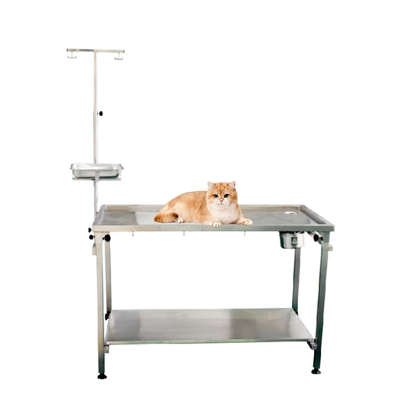 Factory Price Veterinary Equipment High Temperature Stainless Steel Countertop Vet Dissect Table Animal Operating Table