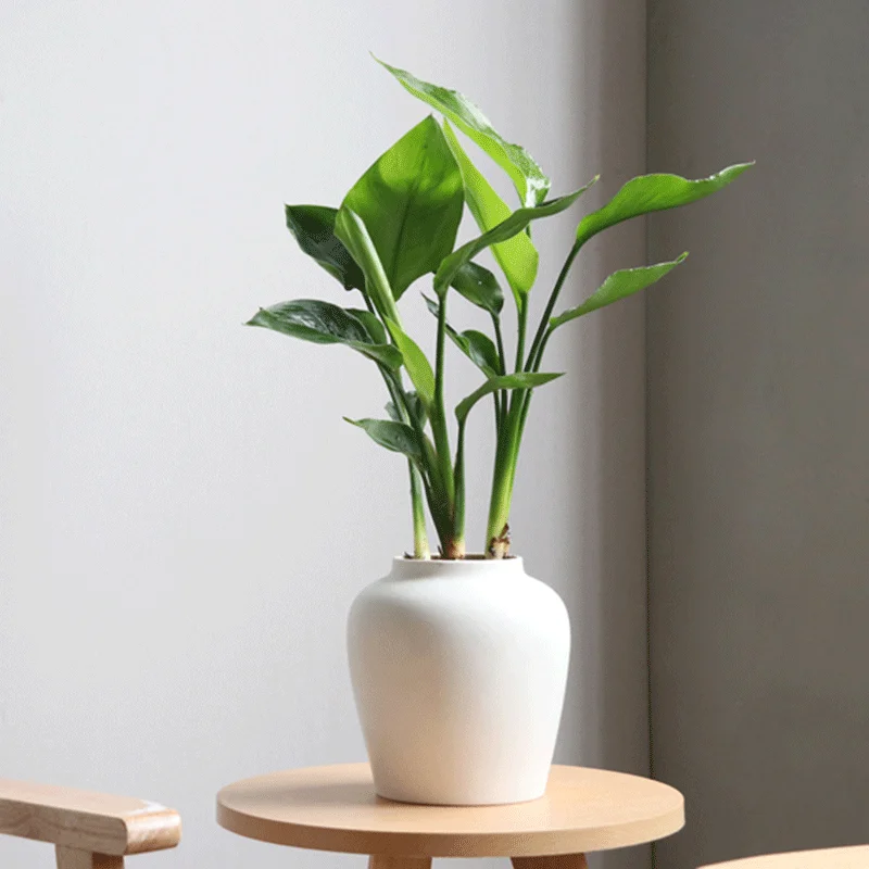 Современная Гостиная Цветочная композиция для дома креативное украшение белая керамическая ваза с