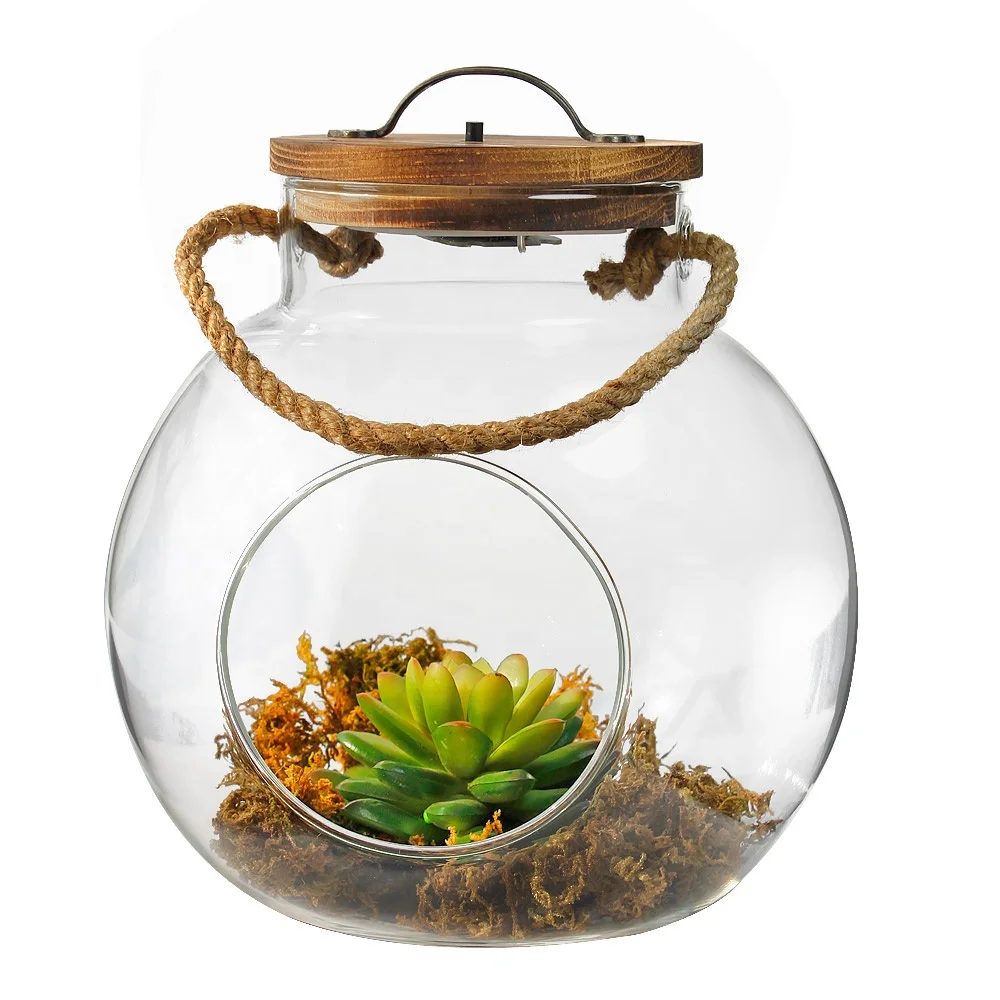 Glass light jar For Party Garden home decorative Succulent Plant and Rocks Desk LED Light