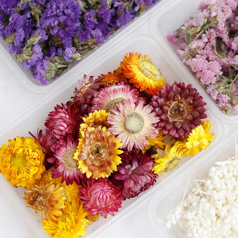 GH-096 wholesale dried flower bag natural bulk lavender daisy preserved dried flower material package heads for decoration