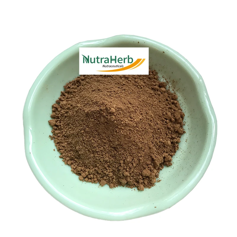 High Quality 100% Natural Salep Orchid Extract Powder Dendrobium Extract Orchid Dried Root Powder