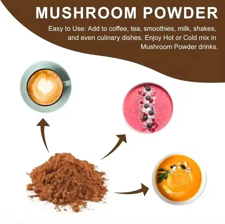 Wholesale Mushroom-Coffee Nature Mushroom extract Chaga Cordyceps Reishi Energy And Endurance Mushroom Coffee