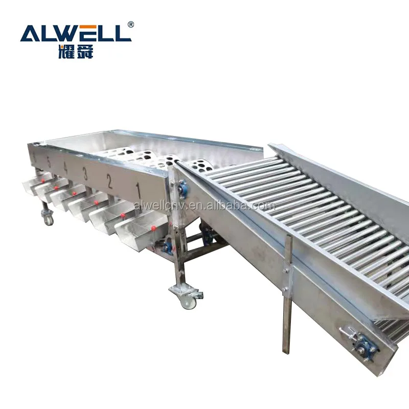 
Automatic fruits orange walnut sorting machine fruit size grading machine 