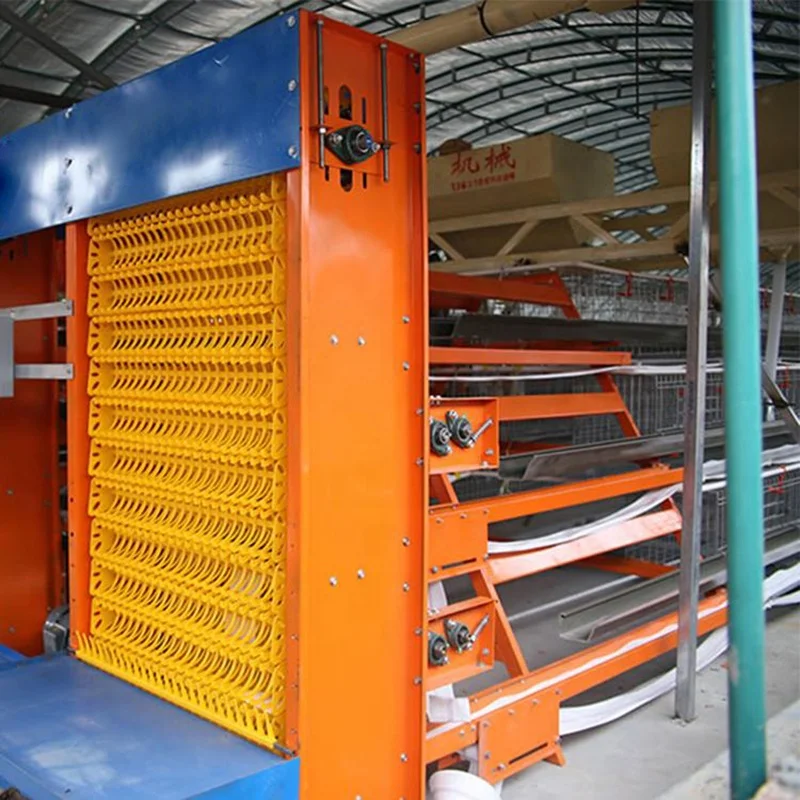Chicken Poultry Farm Equipment Poultry Equipment For Broiler Farms Poultry Equipment Chicken Farming