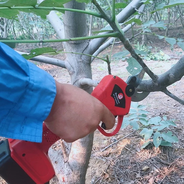 tesoura de poda eletrica for $65/- lowest price ever OMG How to buy plant pruning cutter for less price from China