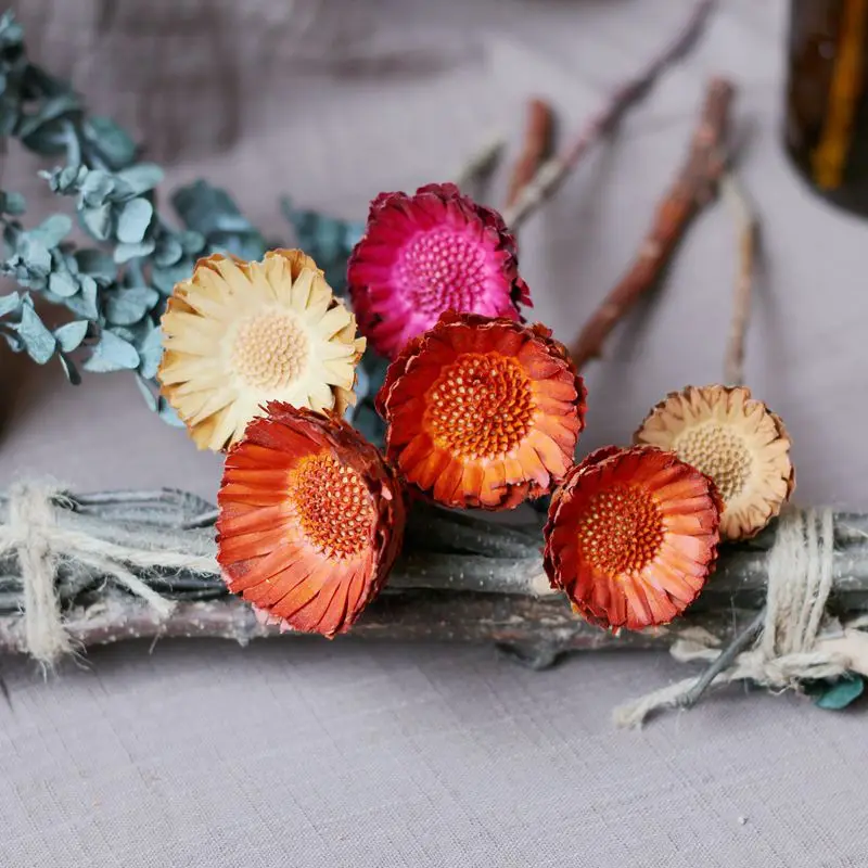 Natural dried gerbera flower gerbera flower preserved gerbera flowers