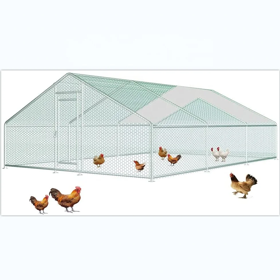 3*6*2m Outdoor Large Walk In Rabbit Metal Wire Chicken Pen Enclosure Run Cage Chicken Cage