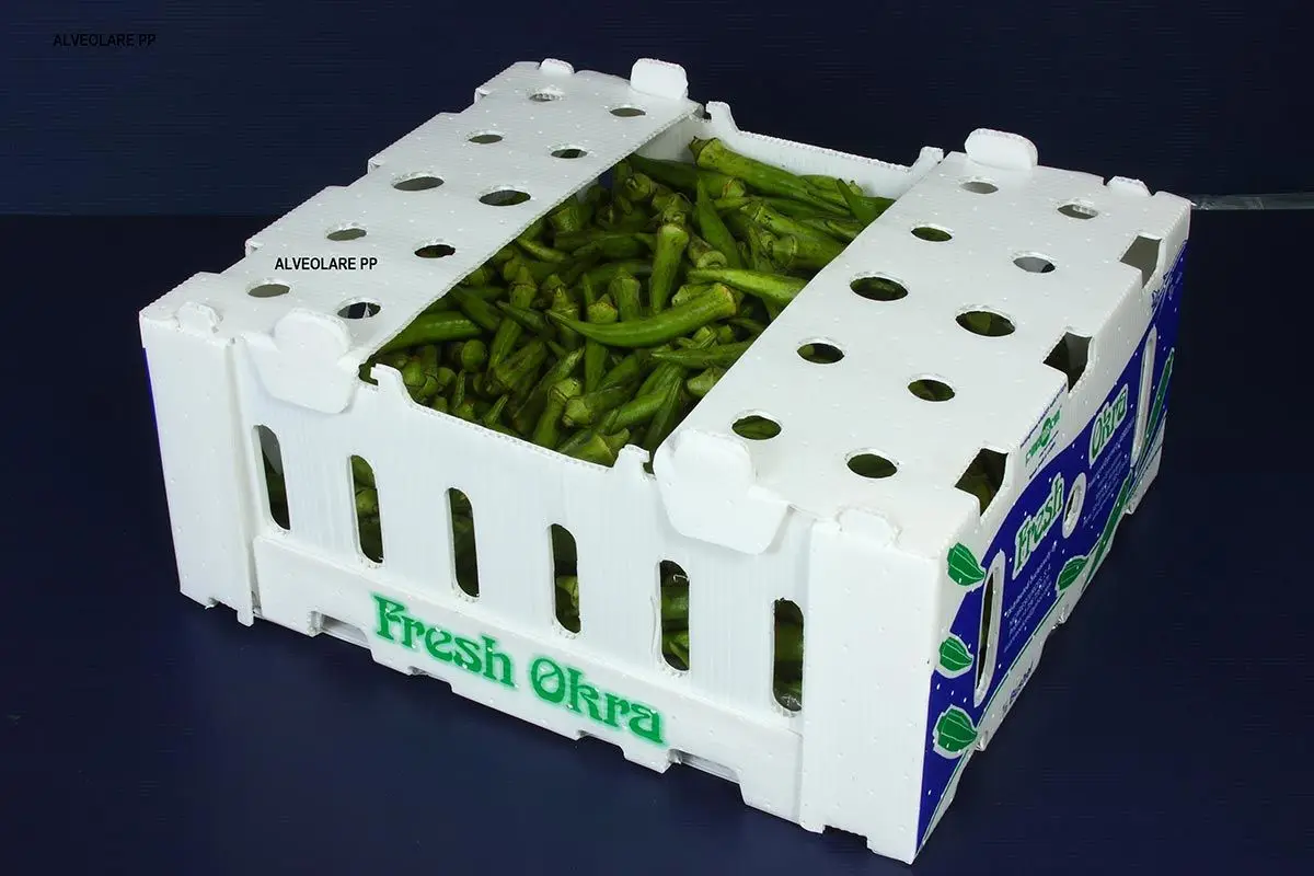 polypropylene Cartonplast fruit box for cabbage