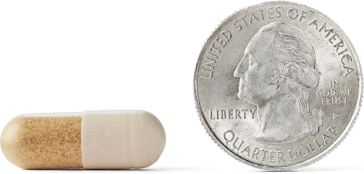 Vegetarian Brain Supplement For Memory, Focus & Concentration, Vitamins B6 & B12 and Nootropics Phosphatidylserine