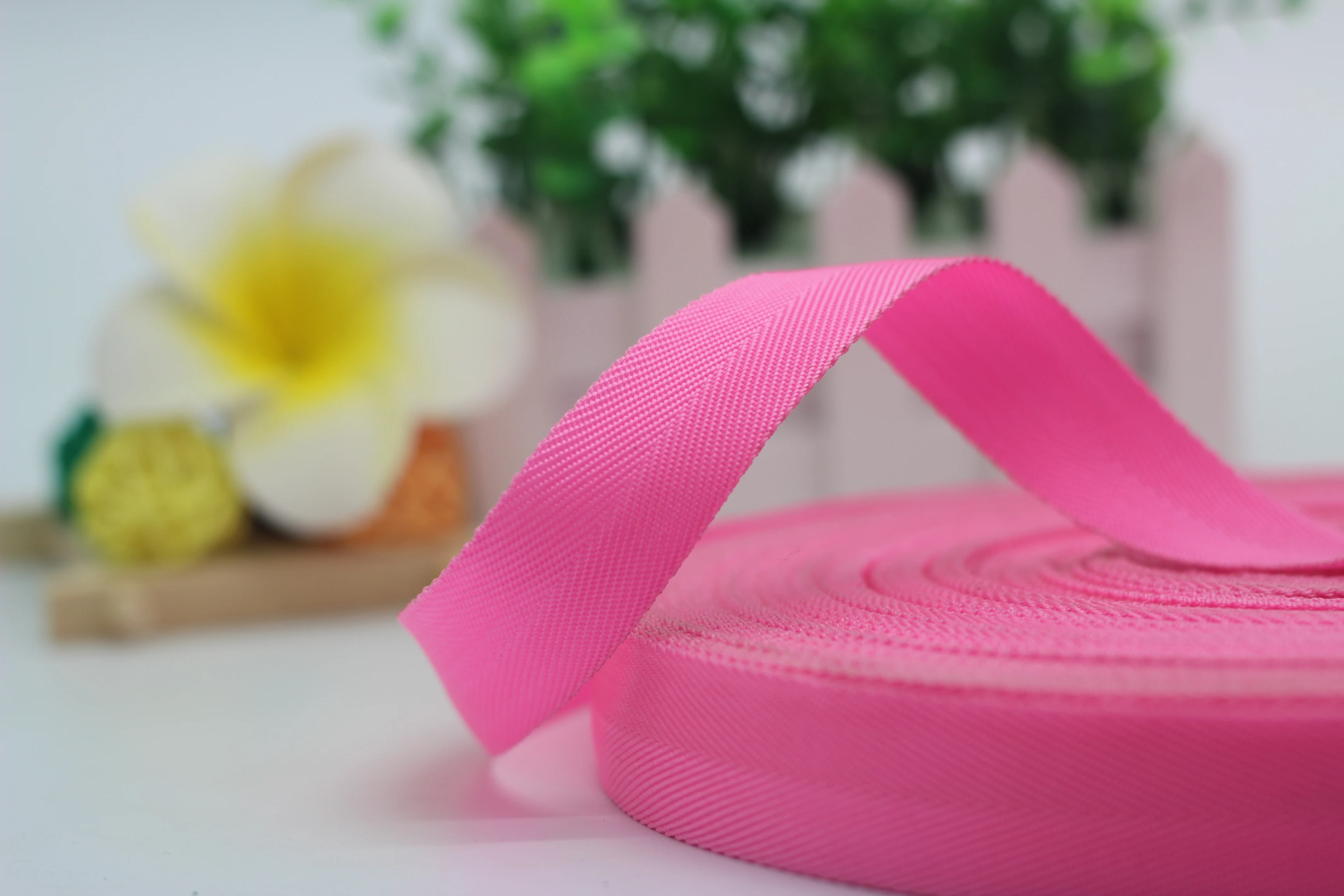 Good Quality mobilon tapeTest Polypropylene Webbing PP Webbing Strap for Bags Side Overlock