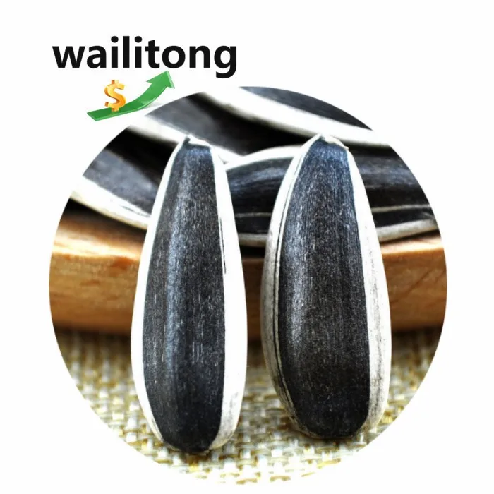Wailitong Biggest Size Top Grade Organic Sunflower Seeds From Chinese Wholesale Price Dried Sunflower Seeds