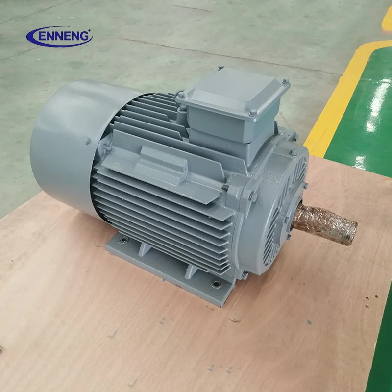 Enneng 10kw 150kw 200kw 1mw 200 rpm free flywheel energy pmg permanent magnet generator set