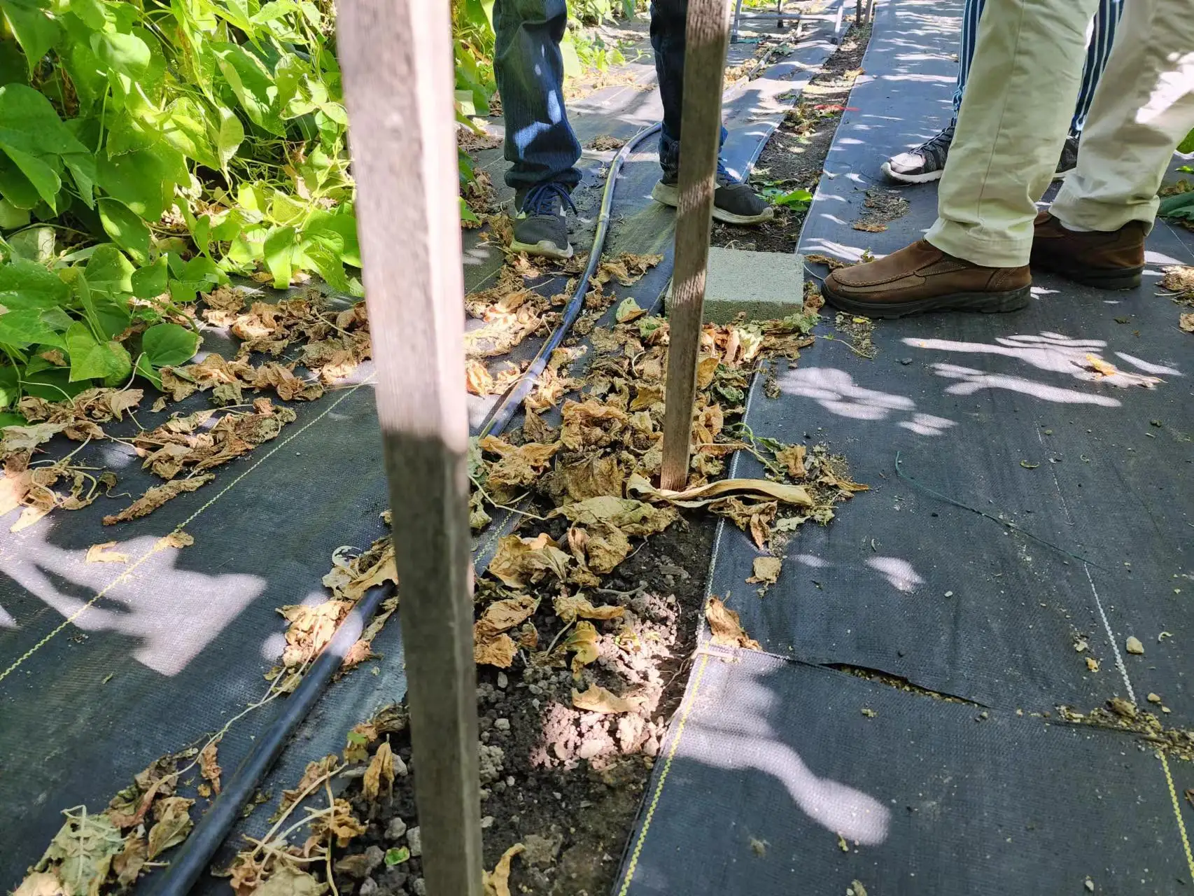 pp woven coir weed ground cover control matting mat