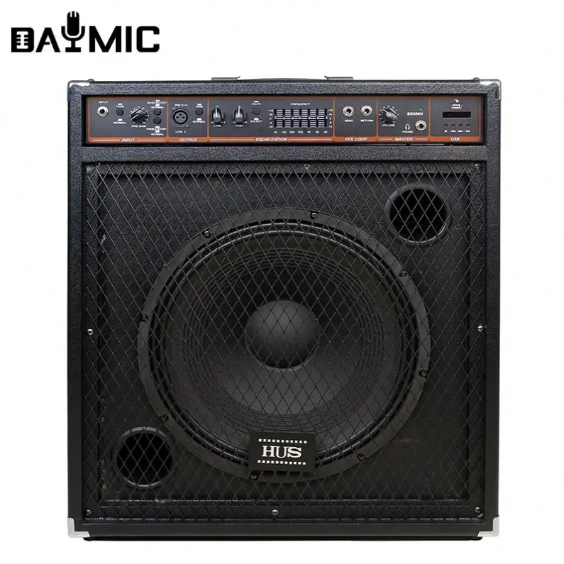 Wholesale 15 inch 18inch 250W graphic EQ bass guitar keyboard combo amplifier speaker for stage Active/Passive select