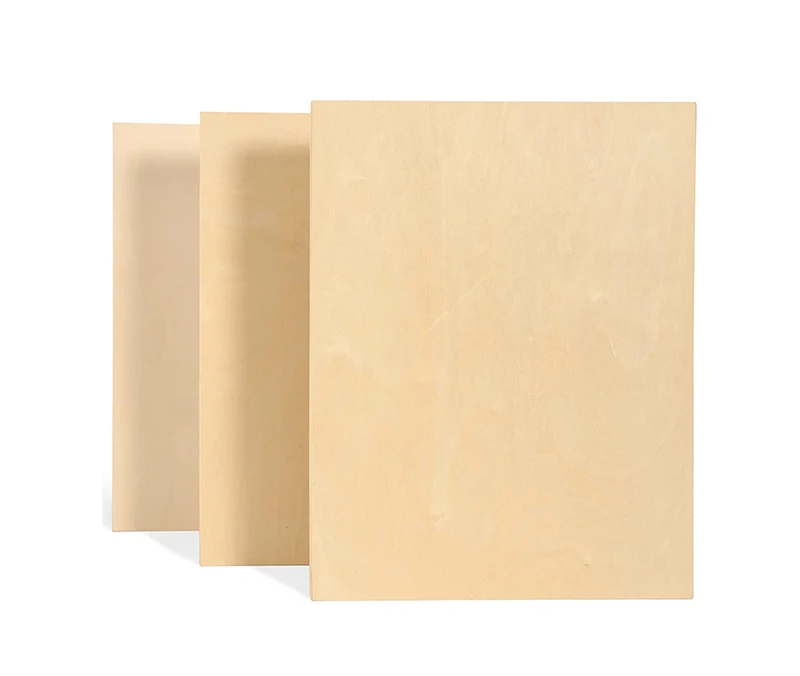 MEEDEN 12x16 Inch Wood Canvas Board for Painting Wood Boards 2 Packs Studio 3/4' Deep Birch Wood Cradled Panels