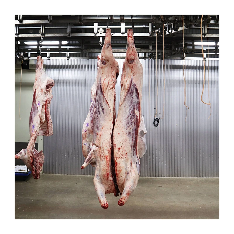 Japanese full set fresh A4-5 wagyu beef food frozen cow meat for sale