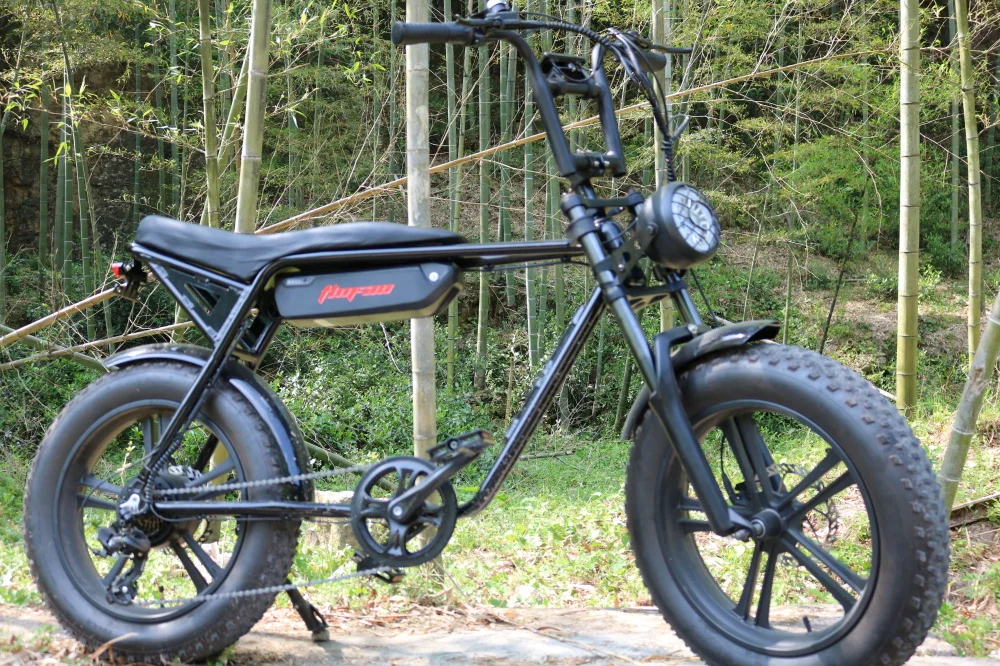 Tlofao high quality 351w-500w electric hybrid city  bike for adult