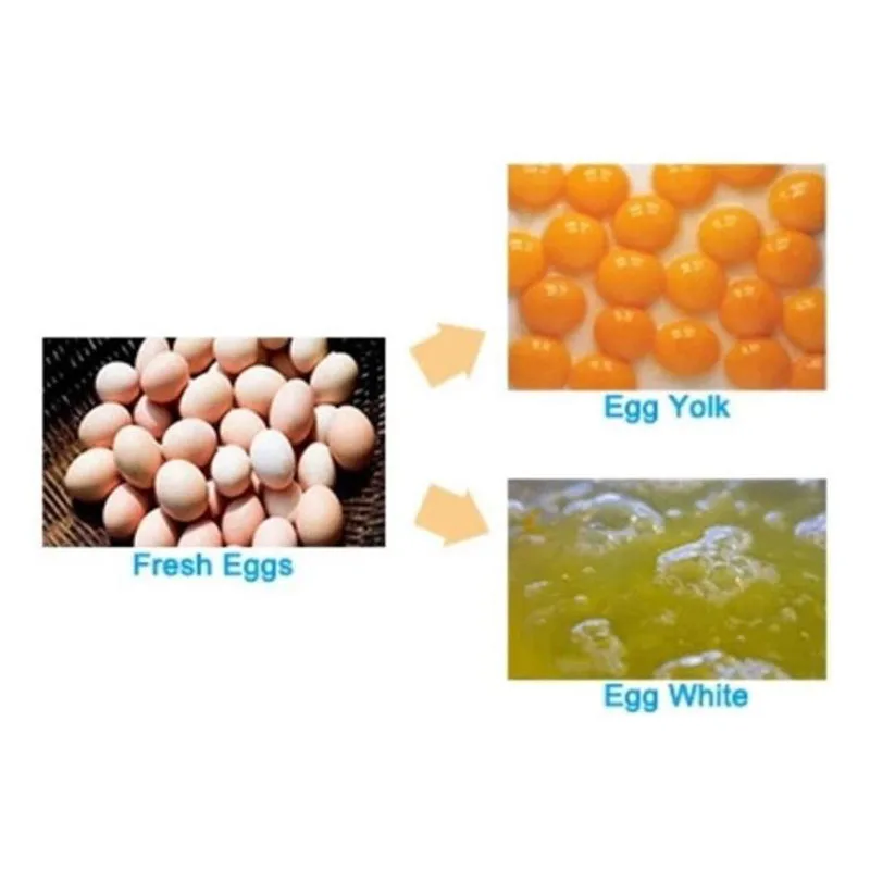 
Automatic new design egg breaking machine and egg yolk egg yellow separator machine 