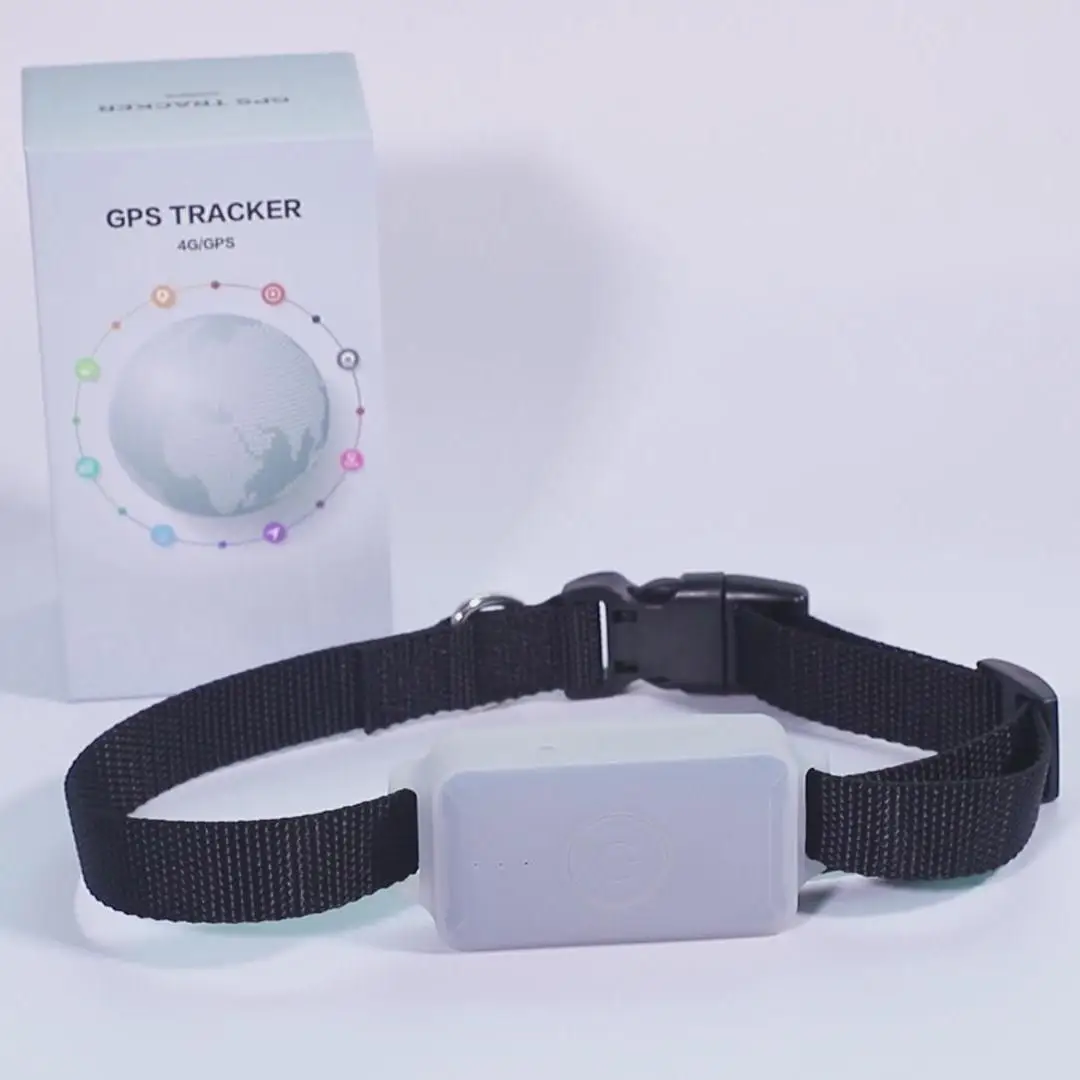 4G GPS Real Time Tracking Smart mini Tracker LK105B Geo Fencing pet training Support 4g gps dog cat tracking system