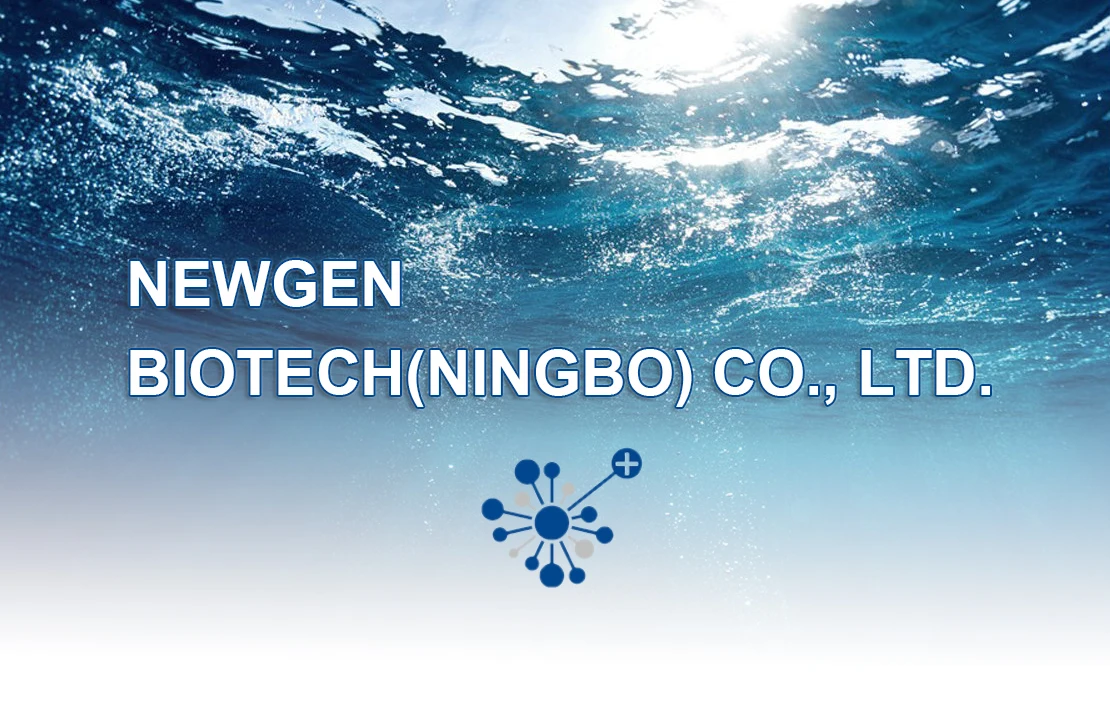 Food Grade Alpha Amylase Enzyme GMP stander