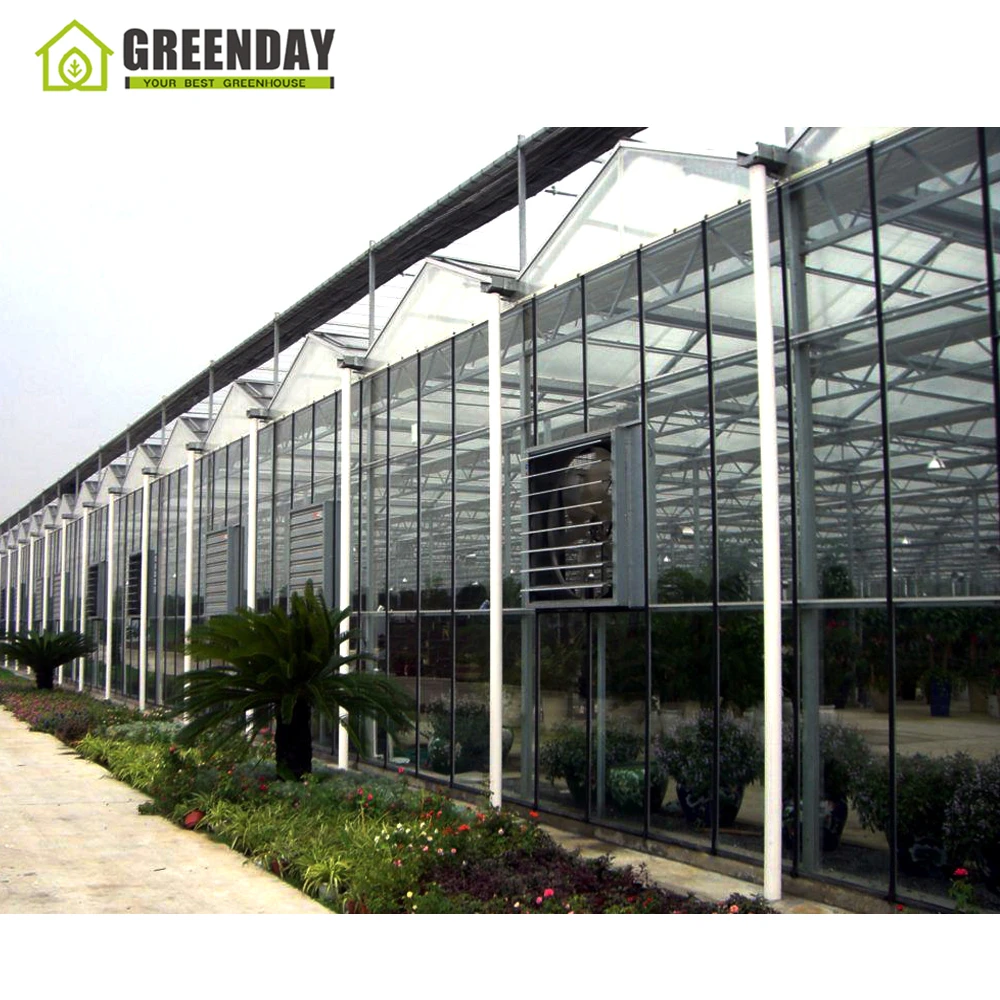 
GREENDAY agricultural glass greenhouse israel for tropical climate 