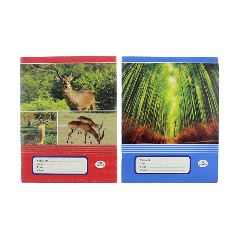 Wholesale China Factory Price High Quality French Line School Notebooks For Africa Stationery