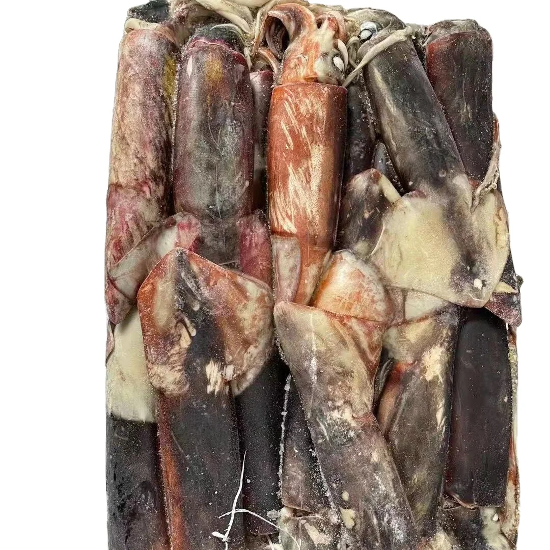 Giant Squid for bait