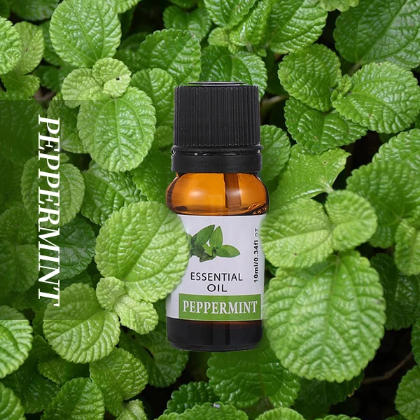 100% Pure Therapeutic Grade Organic Aromatherapy Private Label Lavender Wholesale Diffuser Buy Essential Oil 10ml