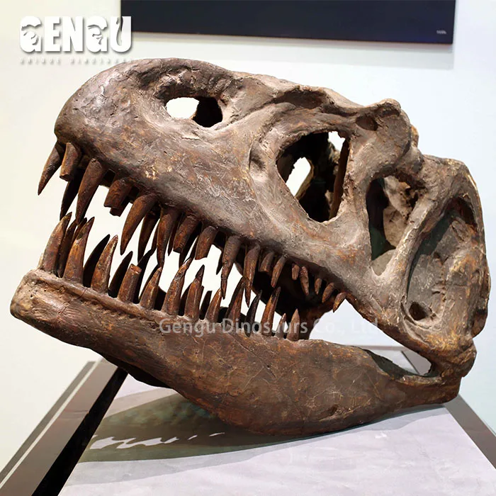 For Exhibit Dig Out Dinosaur Skull Dinosaur Bone Replica
