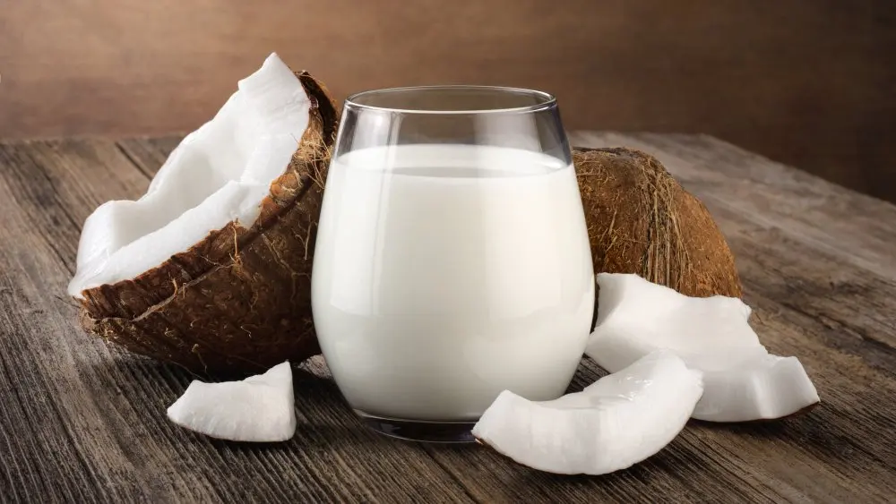 BULK- ORGANIC COCONUT MILK , free sample, WhatsApp online 24/24 0084975532780
