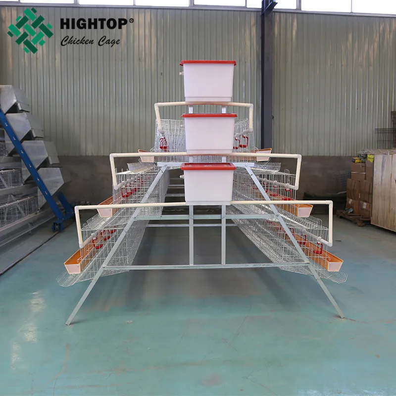 30 Years Lifetime Egg Hen Chicken Cage Layer Poultry Farm