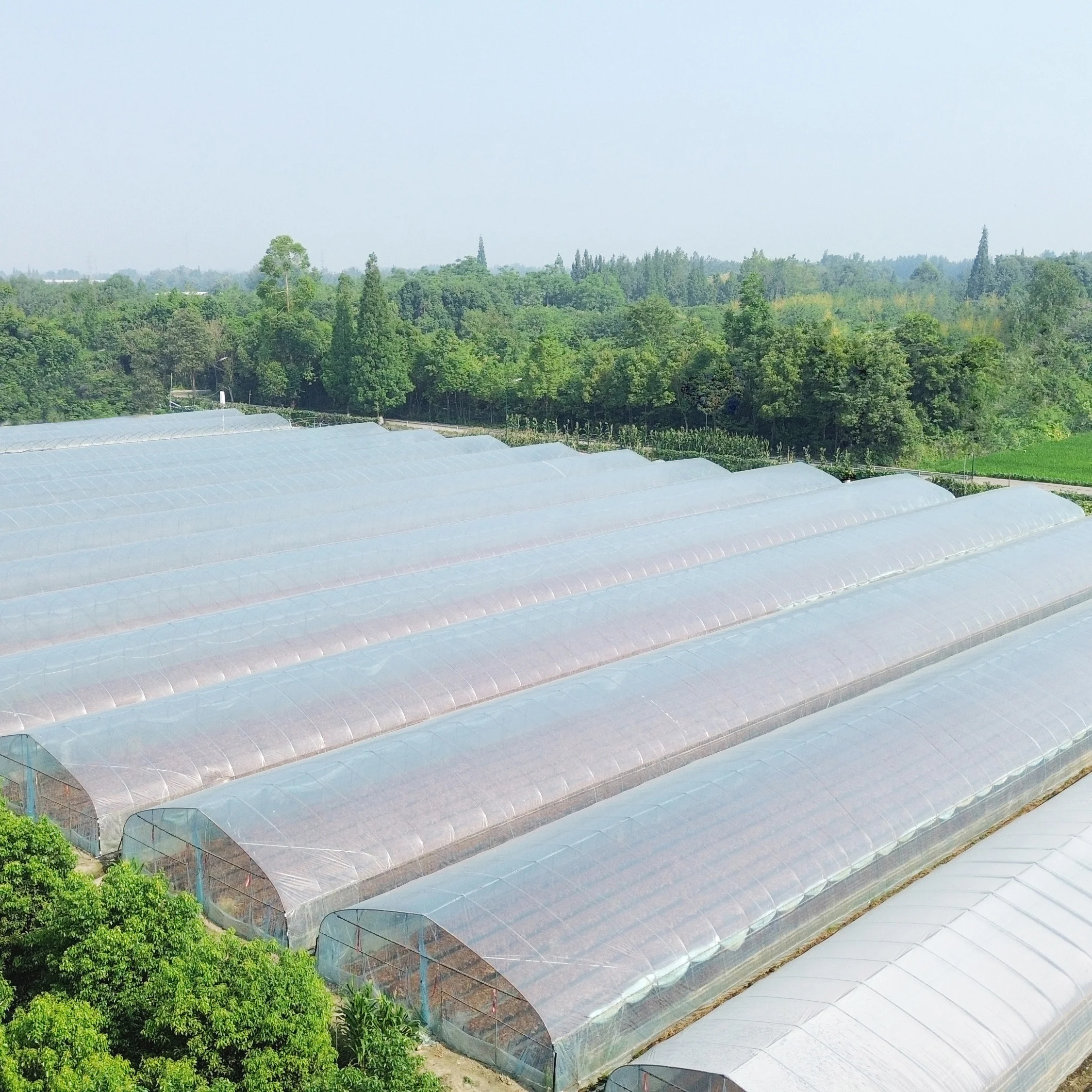 Economical hydroponics galvanized pipe greenhouse high tunnels plastic film agricultural greenhouse for vegetables planting