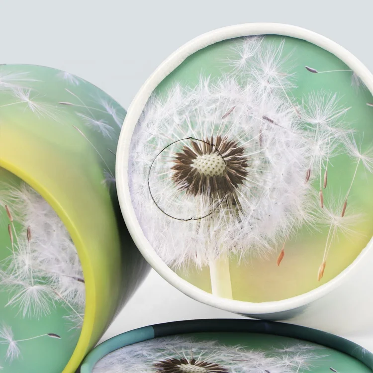 Flower printed bio paper scatter tube cremation ashes pet cinerary urn animal coffin caskets