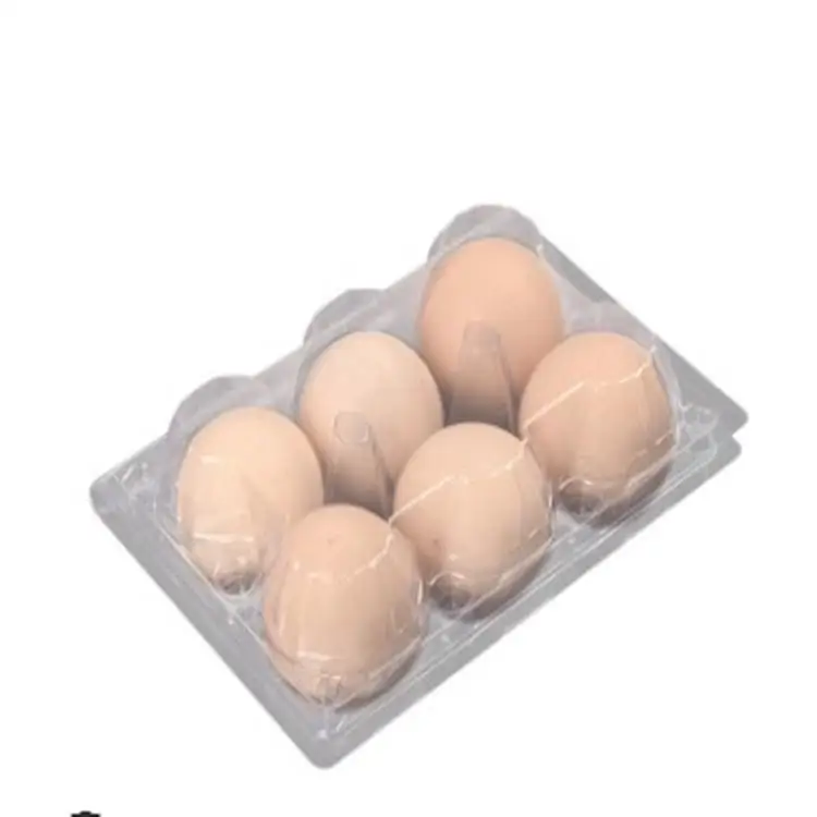 clear disposable plastic egg tray.6 egg tray plastic