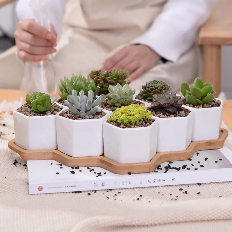 Simple white creative succulent plant ceramic small hexagonal set 9 with bamboo bracket zakka combination potted flower pot