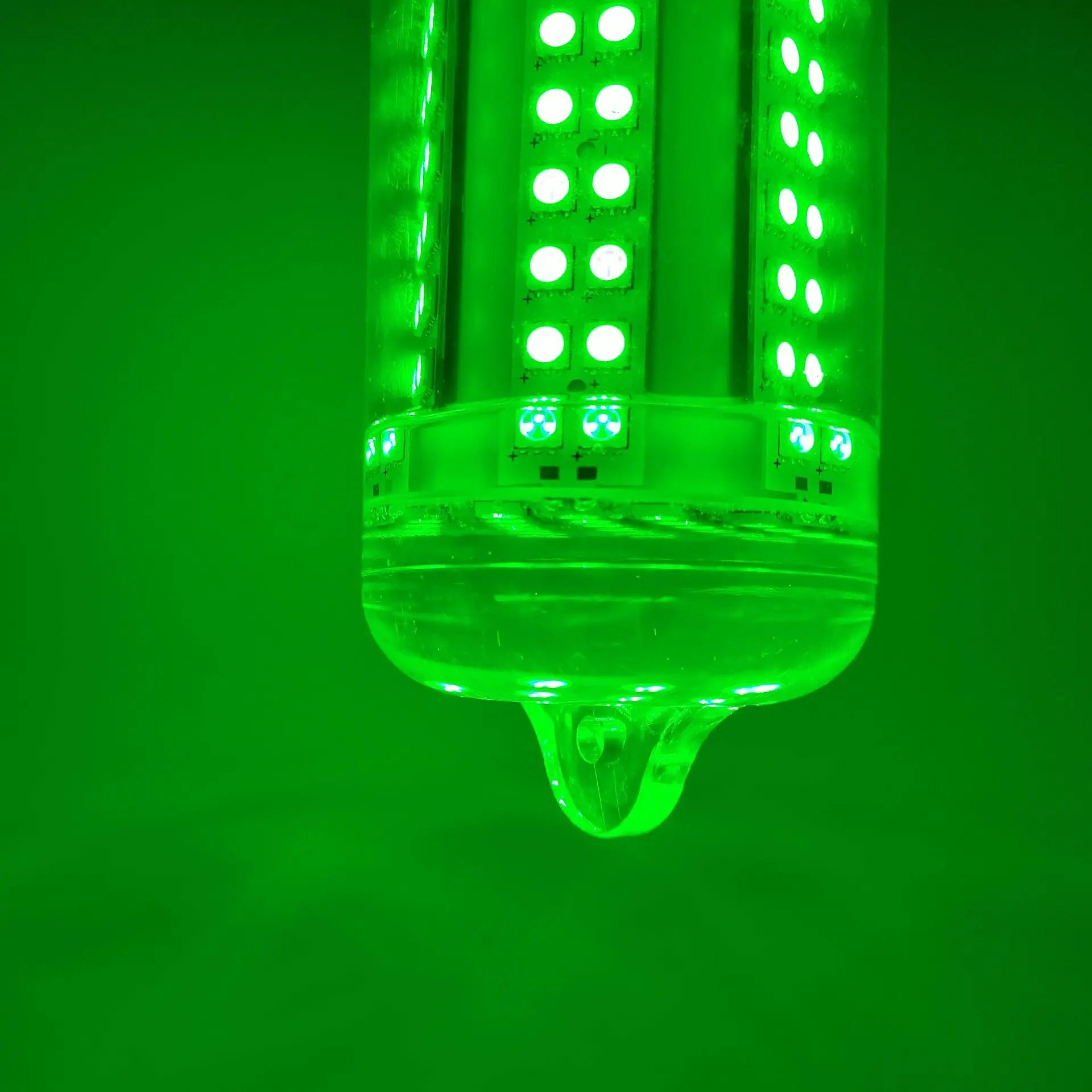 Charging model infrared remote control fish lamp