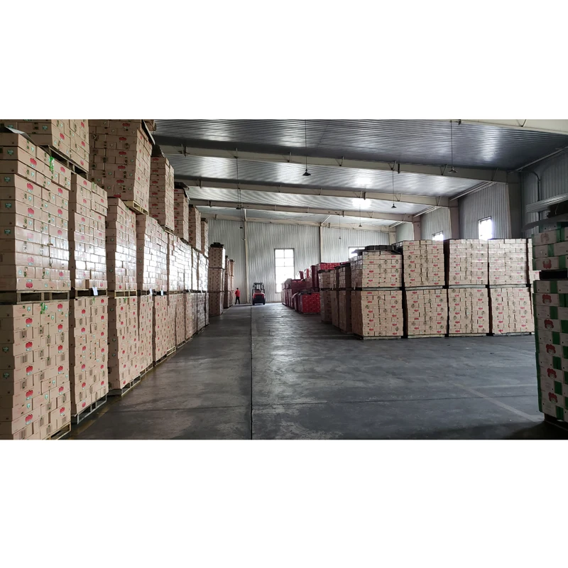 Wholesale 2023 Price Chicken Luncheon Meat Tin Food Canned Body Salt OEM HEBEI Normal Temperature Printed Easy Open Ready to Eat