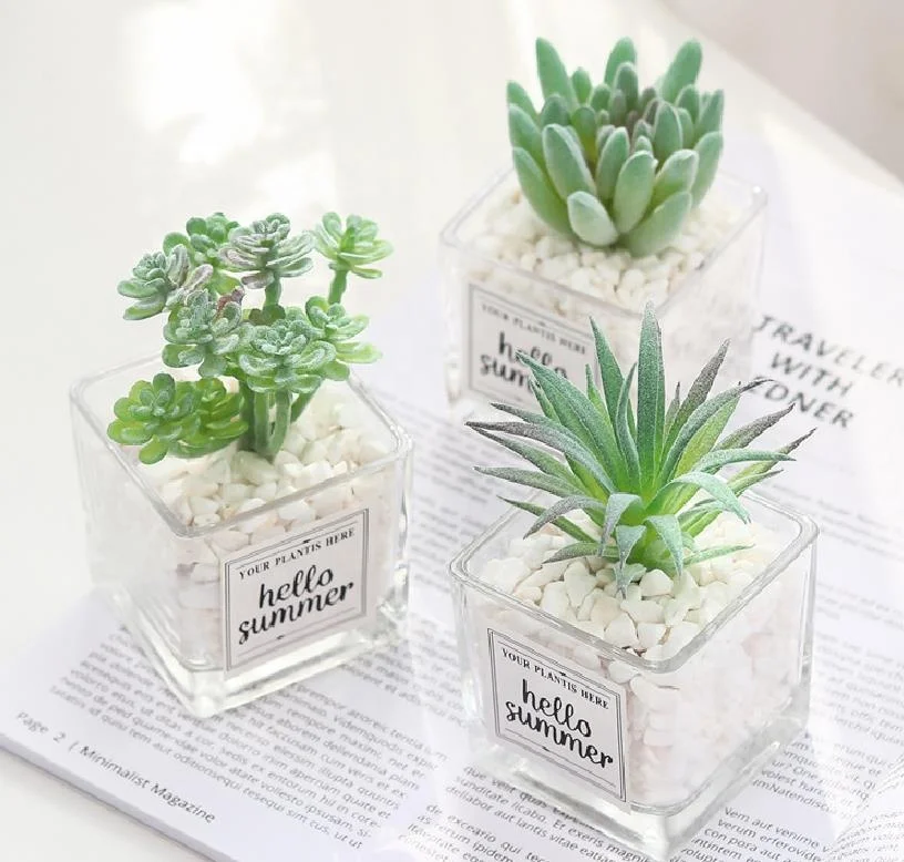 Mini wholesale fake artificial succulent planter pot potted gift set glass bottle other decorative flowers and plants
