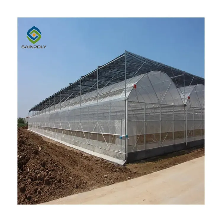 Agriculture multi-span arch plastic film Greenhouse tomato greenhouse and strawberry greenhouse turnkey project