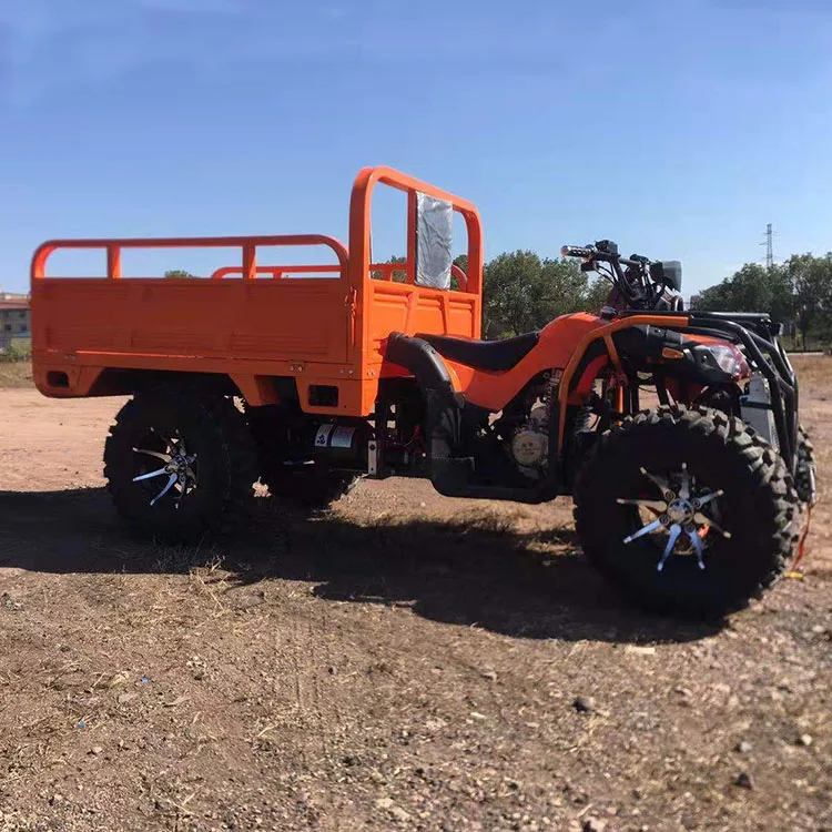 NEWest 15KW Quad UTV Electric Vehicle UTV Adult 4x4