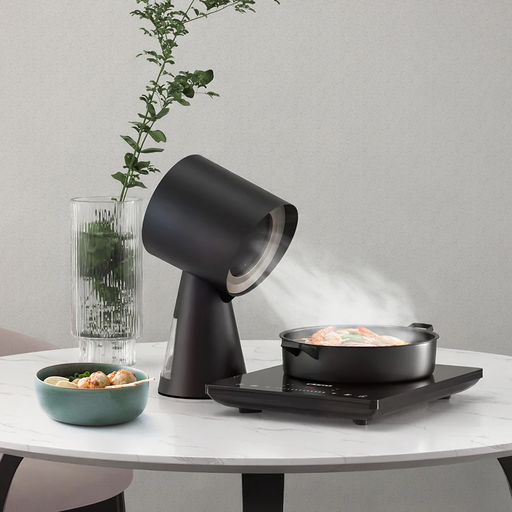 Kitchen Cooking Purifiers Portable Desktop Kitchen Range Hood With Carbon Filter