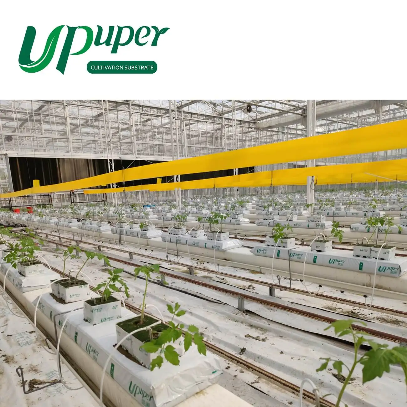 UPuper 40x8x3 inch hydroponics agricultural Indoor growing system vertical farm hydroponic slabs