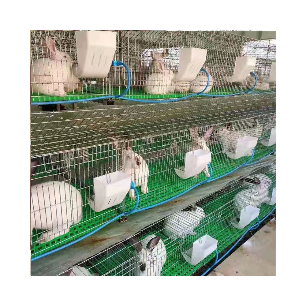 Selling galvanized welded rabbit mesh /rabbit cages indoor (Factory)