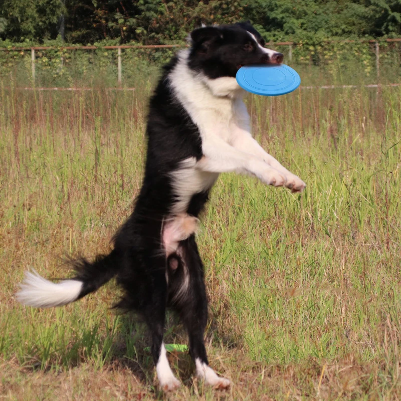 1PCS Flying Saucer Dog Toy Funny Chewing Silicone Dogs Game Flying Discs Puppy Training Interactive Exercise Pet Dog Supplies